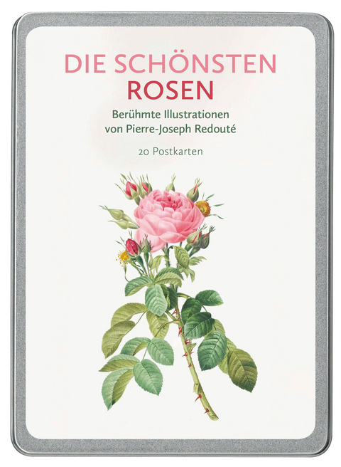 Die schönsten Rosen