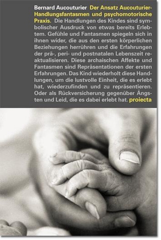 Der Ansatz Aucouturier