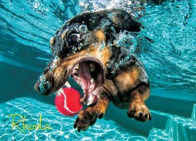 Underwater Dog: Rhoda Jigsaw -  Casteel Seth