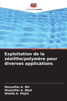 Exploitation de la zéolithe/polymère pour diverses applications