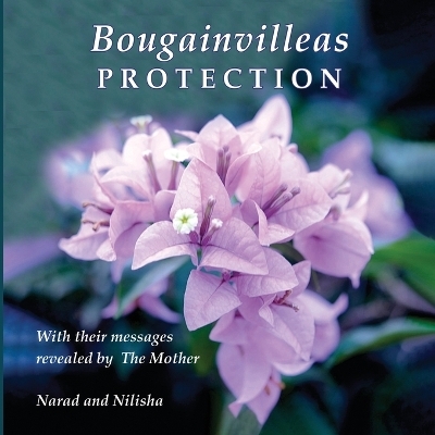 Bougainvilleas PROTECTION -  Narad (Richard Eggenberger), Nilisha Mehta
