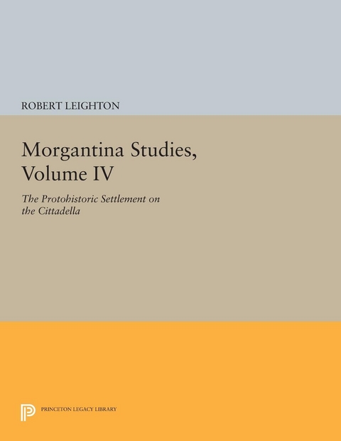 Morgantina Studies, Volume IV - Robert Leighton