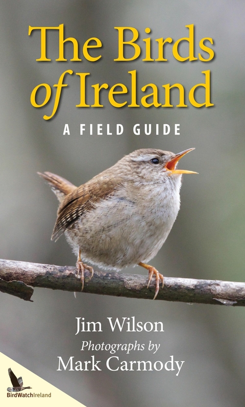 Birds of Ireland -  Mark Carmody,  Jim Wilson