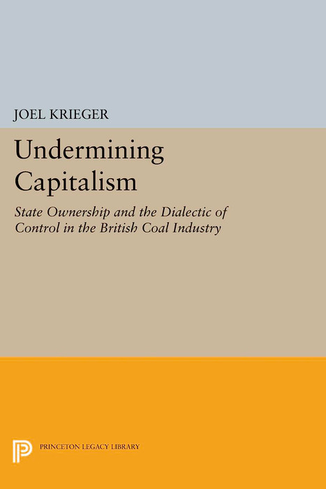 Undermining Capitalism - Joel Krieger