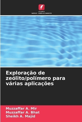 Exploração de zeólito/polímero para várias aplicações