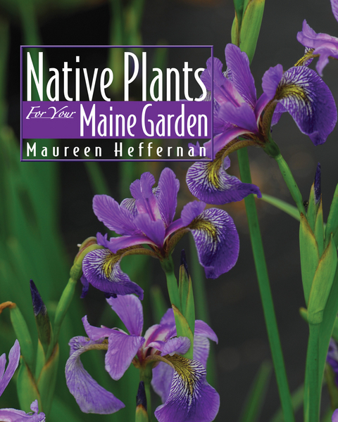 Native Plants for Your Maine Garden -  Maureen Heffernan