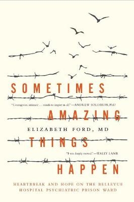 Sometimes Amazing Things Happen -  Elizabeth Ford
