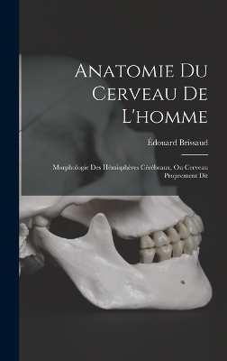 Anatomie Du Cerveau De L'homme - Édouard Brissaud