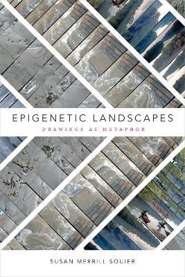 Epigenetic Landscapes - Susan Merrill Squier