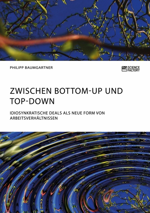 Zwischen Bottom-Up und Top-Down. Idiosynkratische Deals als neue Form von Arbeitsverh&auml;ltnissen -  Philipp Baumgartner