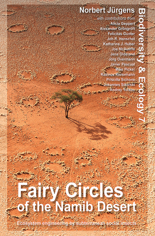 Fairy Circles of the Namib Desert