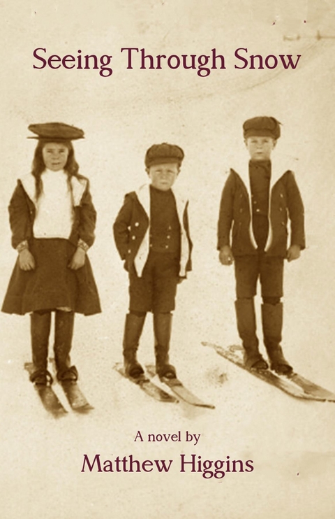 Seeing Through Snow - Matthew Higgins