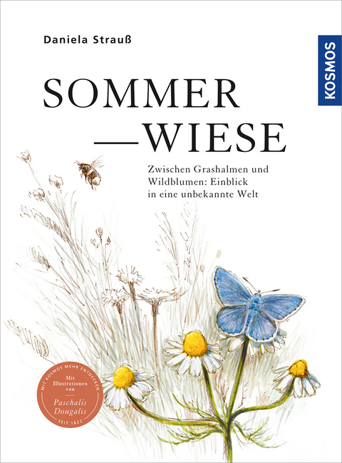 Sommerwiese - Daniela Strau&szlig;