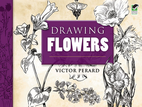 Drawing Flowers - Victor Perard