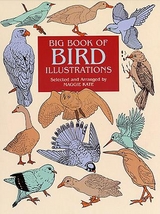 Big Book of Bird Illustrations - Maggie Kate