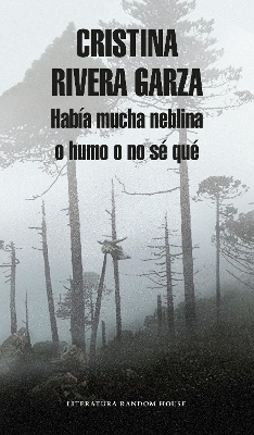 Había mucha neblina o humo o no sé qué: Caminar con Juan Rulfo / There Was a Lot of Fog, or Smoke, or I'm Not Sure What: Walking with Juan Rulfo