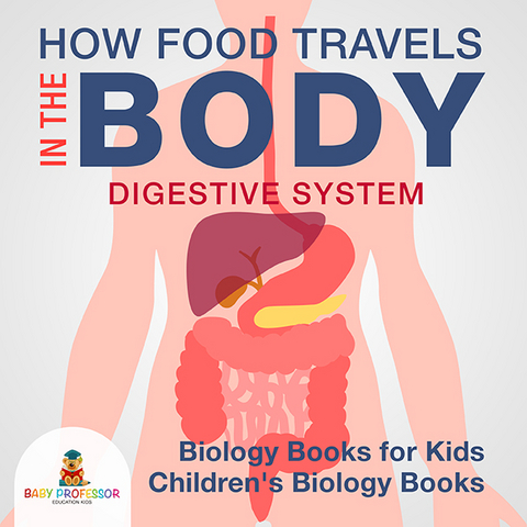 How Food Travels In The Body - Digestive System - Biology Books for Kids | Children's Biology Books - Baby Professor