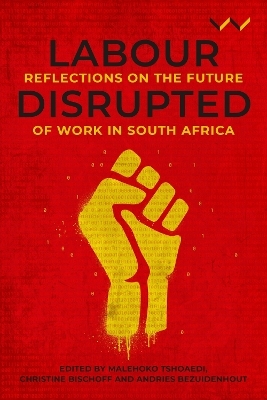 Labour Disrupted - Malehoko Tshoaedi, Christine Bischoff