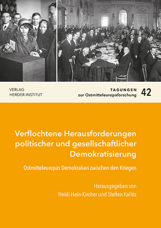 Verflochtene Herausforderungen politischer und gesellschaftlicher Demokratisierung