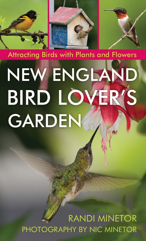 New England Bird Lover's Garden -  Randi Minetor