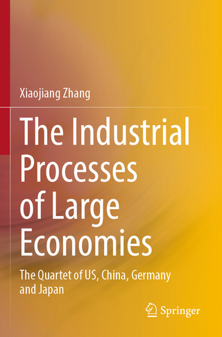 The Industrial Processes of Large Economies