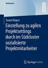 Einstellung zu agilen Projektsettings durch im S&uuml;dcluster sozialisierte Projektmitarbeiter - Daniel Hilgert