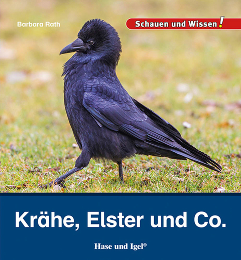 Kr&auml;he, Elster und Co. - Barbara Rath