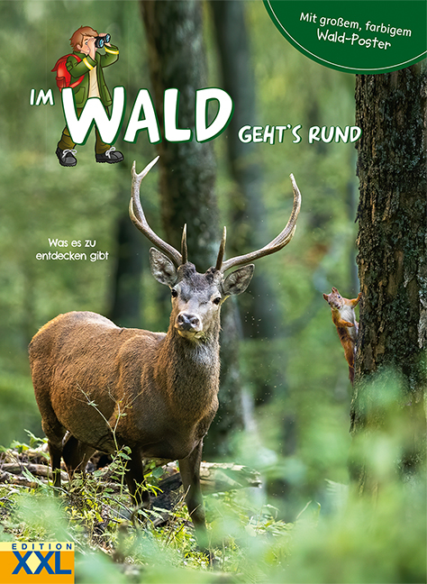 Im Wald geht's rund - mit gro&szlig;em, farbigem Poster