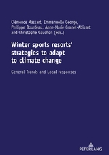 Winter sports resorts&rsquo; strategies to adapt to climate change - 