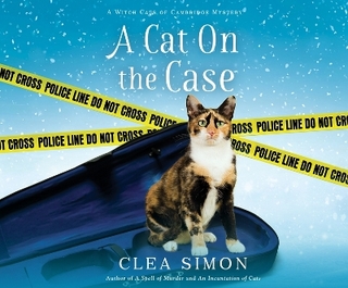 A Cat on the Case