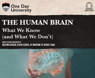 The Human Brain