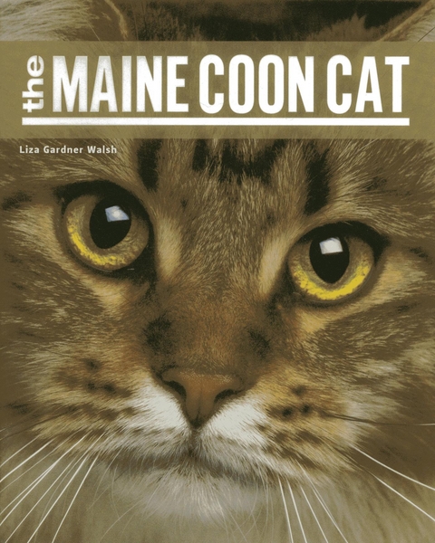 Maine Coon Cat -  Liza Gardner Walsh