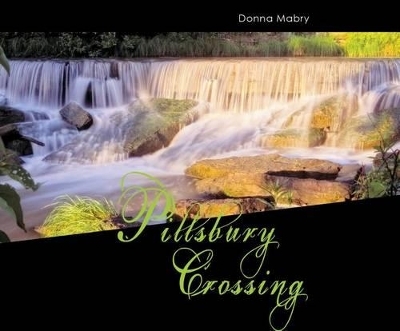 Pillsbury Crossing - Donna Mabry