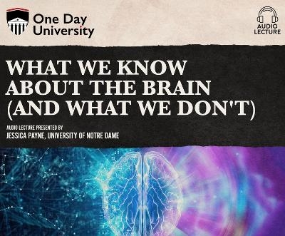 What We Know about the Brain (and What We Don't) - Jessica Payne