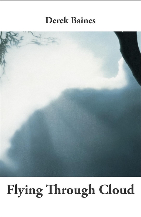 Flying Through Cloud - Derek Baines