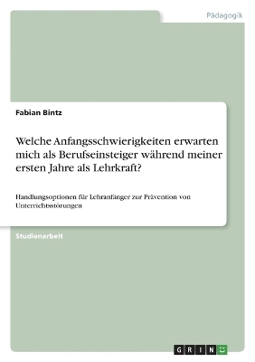Welche Anfangsschwierigkeiten erwarten mich als Berufseinsteiger w&Atilde;&curren;hrend meiner ersten Jahre als Lehrkraft? - Fabian Bintz