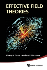 EFFECTIVE FIELD THEORIES - Alexey A Petrov, Andrew E Blechman