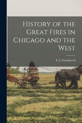 History of the Great Fires in Chicago and the West - E J Goodspeed