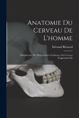 Anatomie Du Cerveau De L'homme