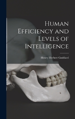 Human Efficiency and Levels of Intelligence