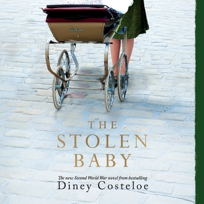 The Stolen Baby - Diney Costeloe
