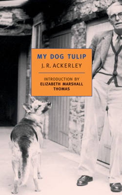 My Dog Tulip -  J. R. Ackerley