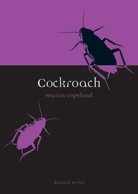Cockroach -  Marion Copeland