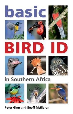 Basic Bird ID in Southern Africa