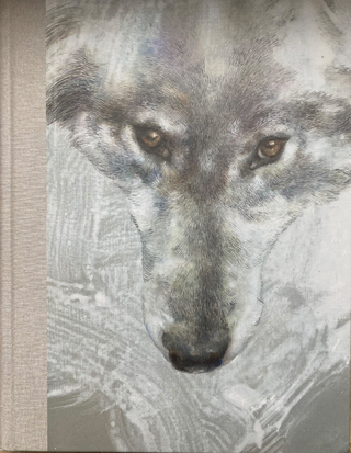 Isabelle Dutoit - Blaue Fährte