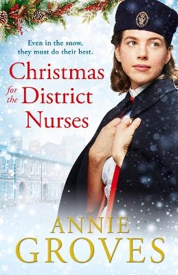 Christmas for the District Nurses - Annie Groves