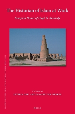 The Historian of Islam at Work