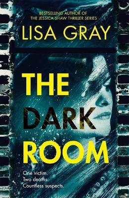 The Dark Room - Lisa Gray