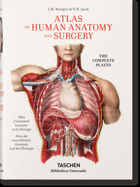 Bourgery. Atlas de anatom&iacute;a humana y cirug&iacute;a - Henri Sick, Jean-Marie Le Minor