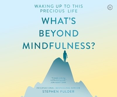 What's Beyond Mindfulness? - Stephen Fulder